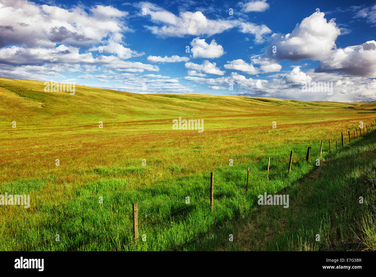 Belle le nuvole passare sopra le colline di ne dell'Oregon Zumwalt Prairie preservare e Wallowa County. Foto Stock