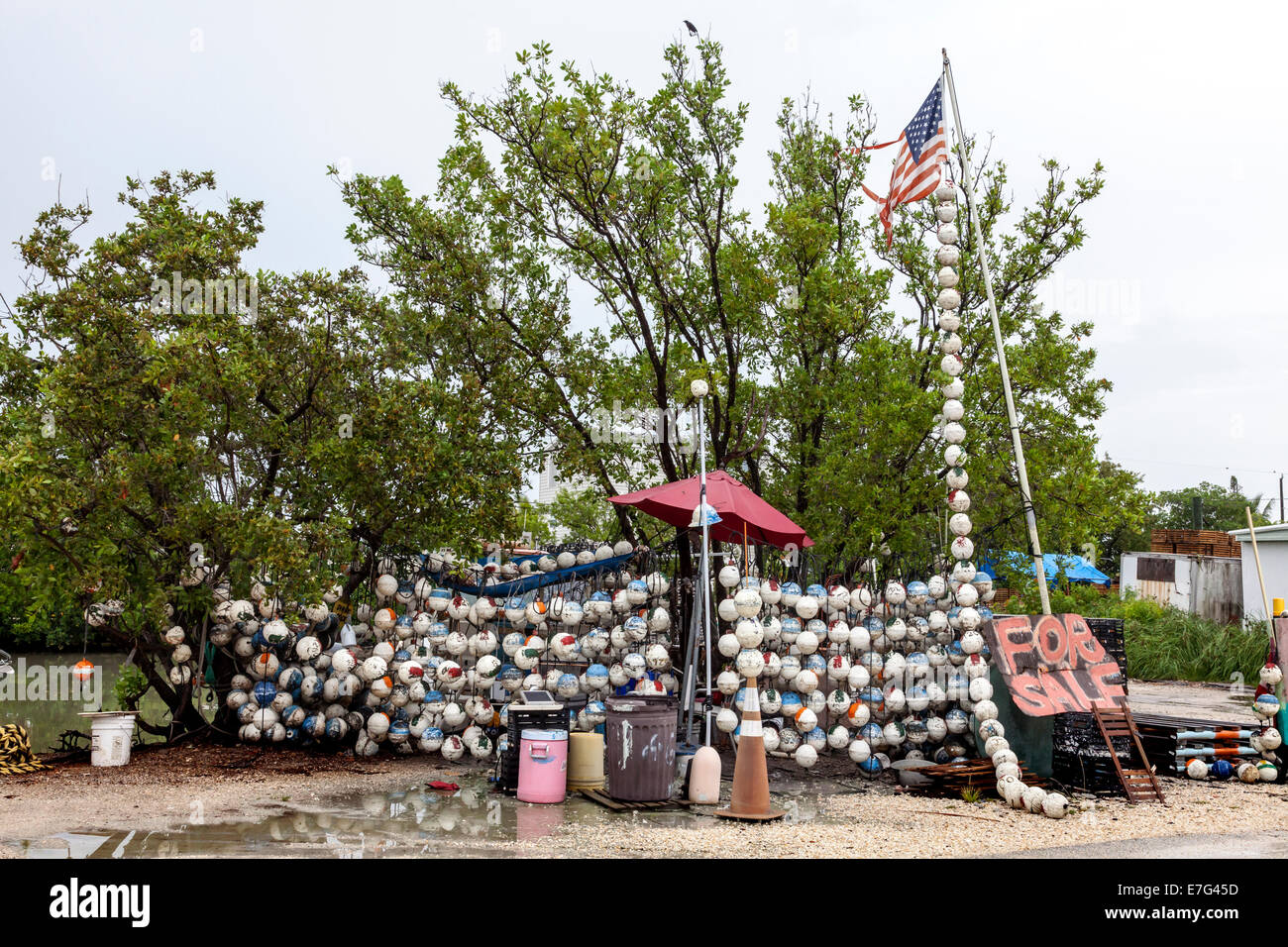 Strappato e lacerato U.S. Bandiera americana snagged sul ramo di un albero ad una bancarella per la strada vendono Styrofoam galleggianti in Florida Keys, STATI UNITI D'AMERICA. Foto Stock