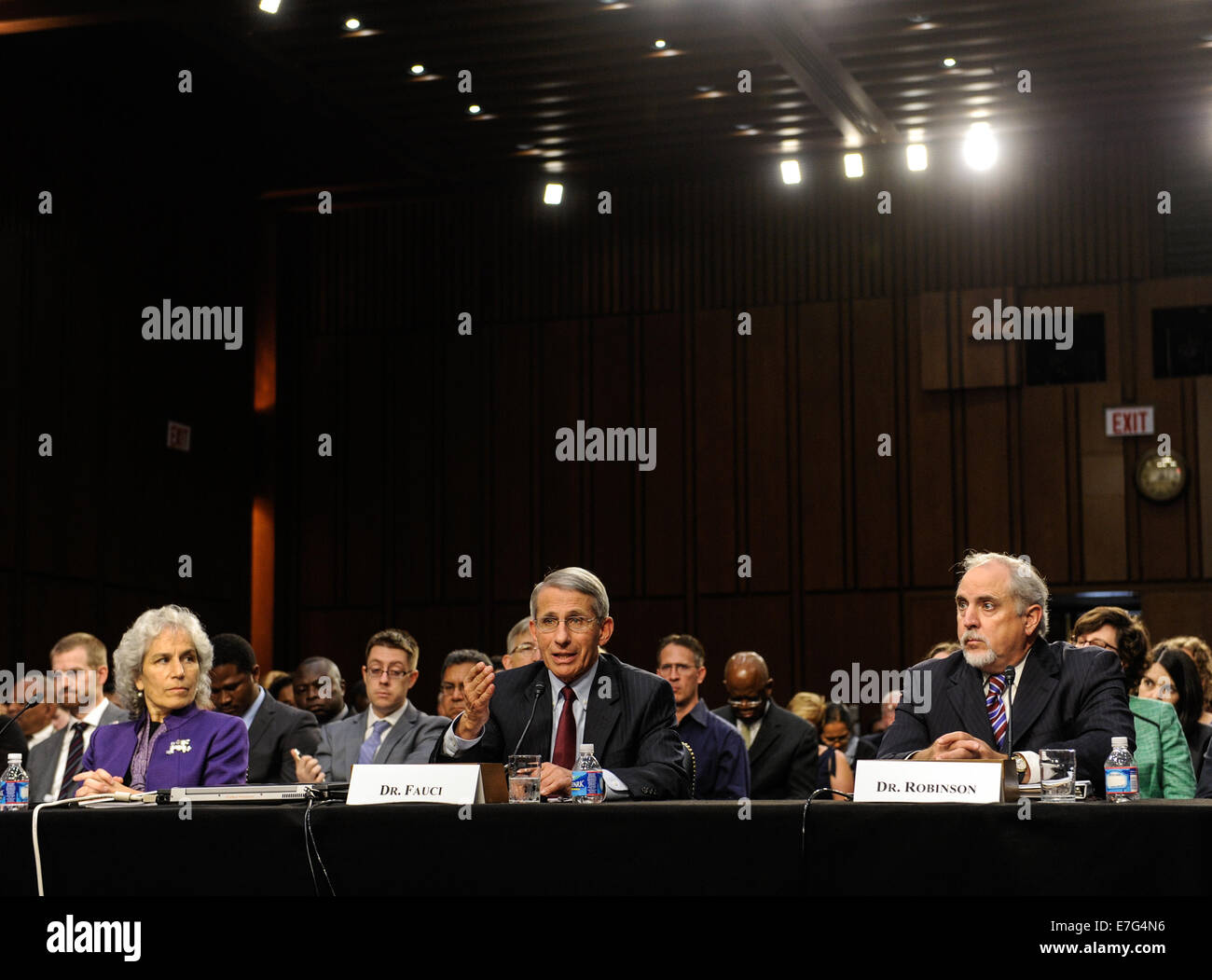 Washington DC, Stati Uniti d'America. 16 Sett 2014. Il dottor Anthony Fauci (C), direttore dell Istituto Nazionale di allergie e malattie infettive, testimonia davanti al Senato la salute, l'istruzione, del lavoro e delle pensioni e del comitato del Senato stanziamenti sottocomitato sul lavoro, la salute e i servizi umani e istruzione nel corso di una audizione congiunta su Ebola in Africa occidentale a Capitol Hill a Washington DC, capitale degli Stati Uniti, Sett. 16, 2014. Credito: Xinhua/Alamy Live News Foto Stock