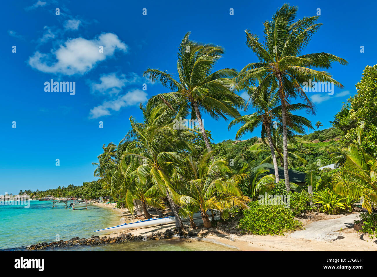 Spiaggia con vegetazione lussureggiante, Bora Bora, Polinesia Francese Foto Stock