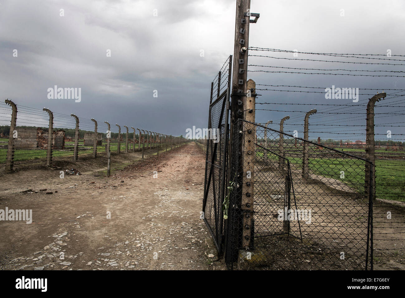 Filo spinato recinzioni, Auschwitz II-Birkenau sterminio camp, Oswiecim, Polonia Foto Stock