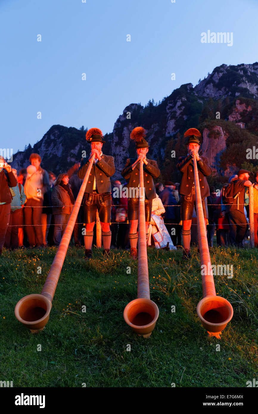 Alphorn giocatori nel bagliore di falò, solstizio d'estate festival presso il Kampenwand, Aschau im Chiemgau, Chiemgau Alpi Foto Stock