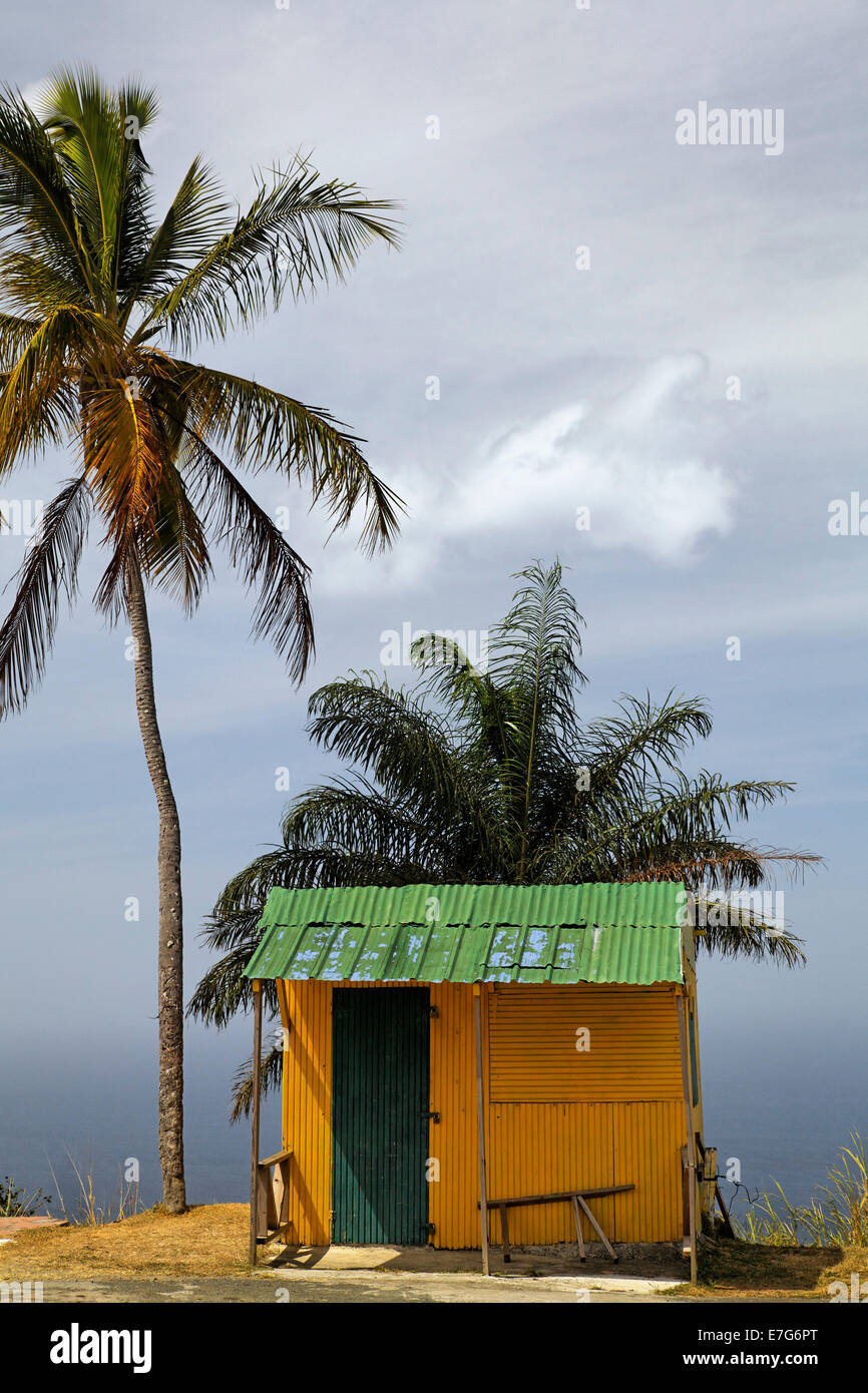 Piccola capanna giallo verde con tetto dello stagno, alberi di cocco, Tobago Trinidad e Tobago Foto Stock