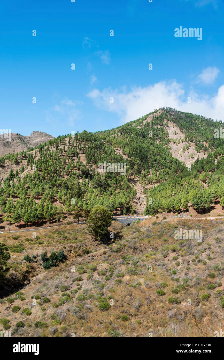 Ponte stradale, Santiago del Teide Tenerife, Isole Canarie, Spagna Foto Stock