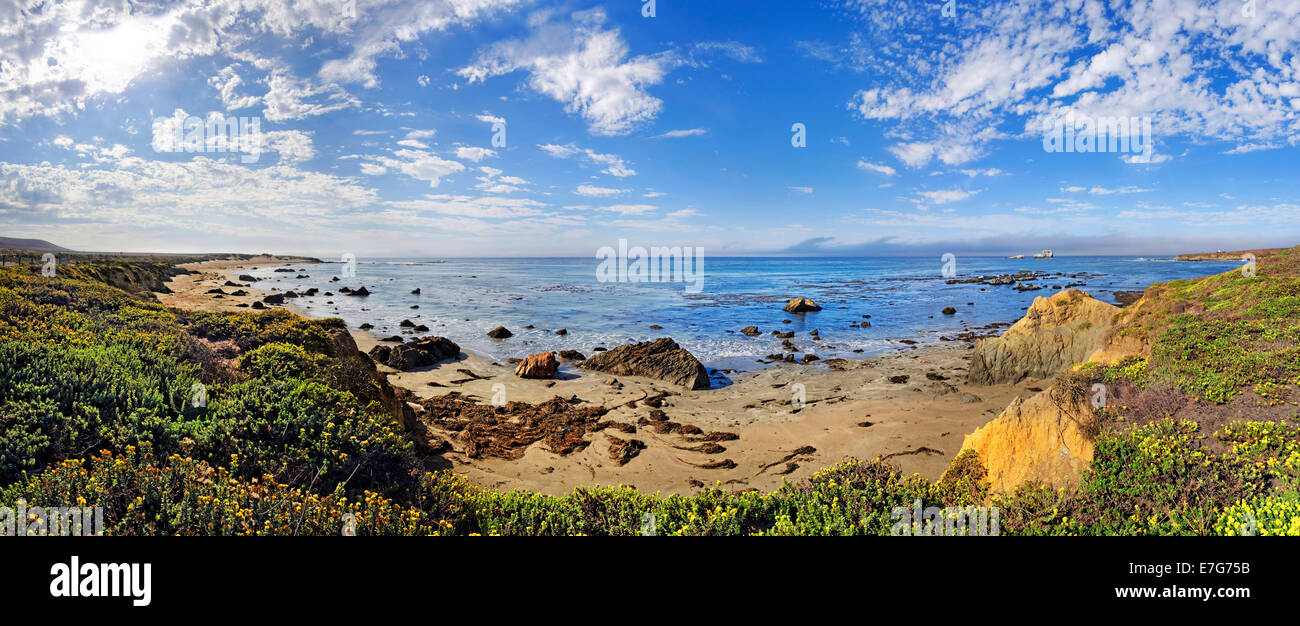 Costa del Pacifico con cielo velato, PIEDRAS BLANCAS, California, Stati Uniti Foto Stock