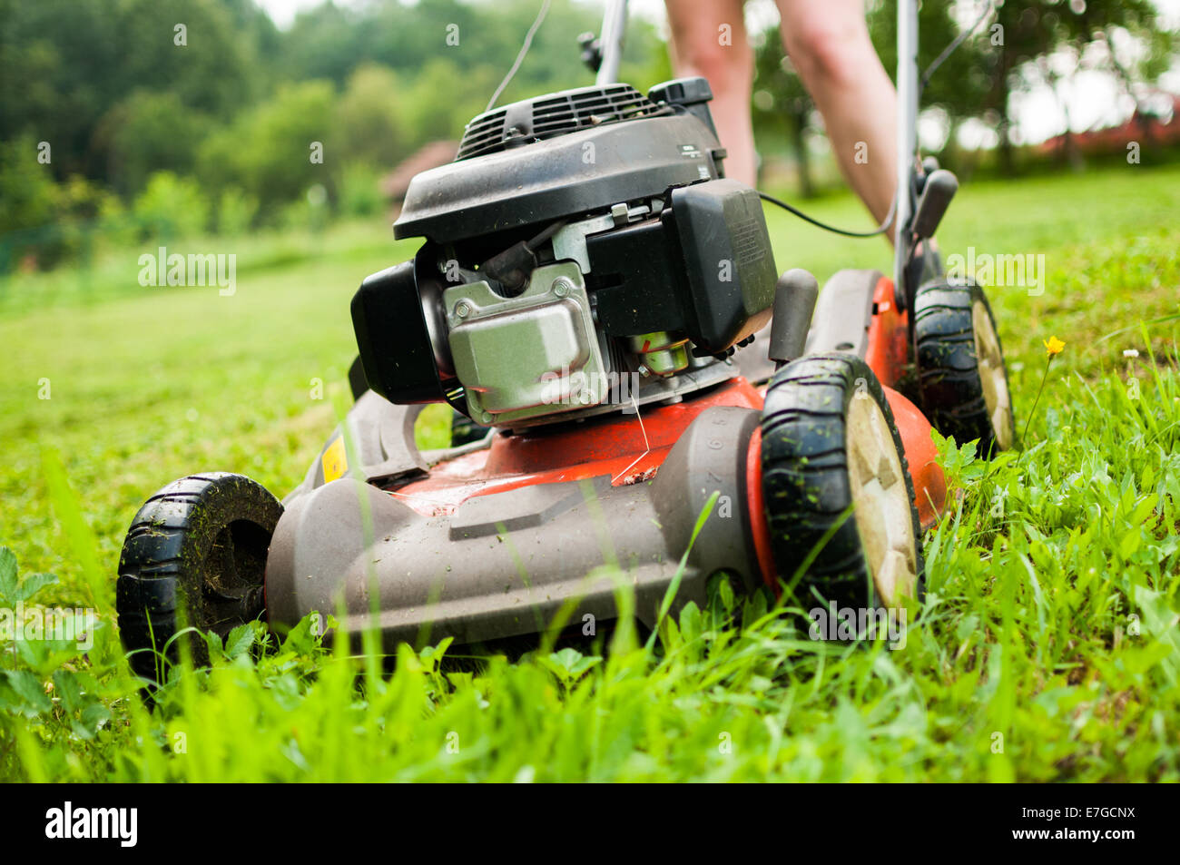 Lawn mover in azione! Foto Stock