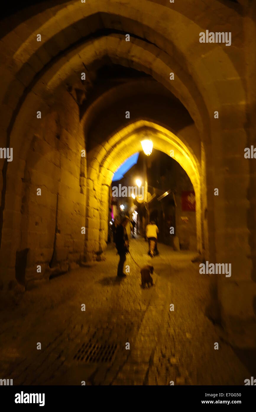 Il francese Cité de Carcassonne cittadella medioevale di notte Foto Stock
