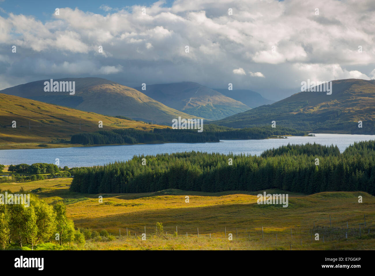 Sera vista sul Loch Tulia vicino a Bridge of Orchy, Argyle e Bute,, Highlands, Scozia Foto Stock