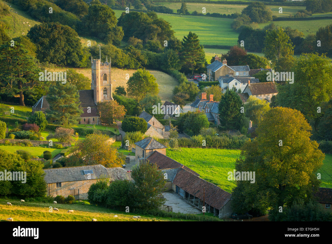 Sera luce solare su Corton Denham, Somerset, Inghilterra Foto Stock