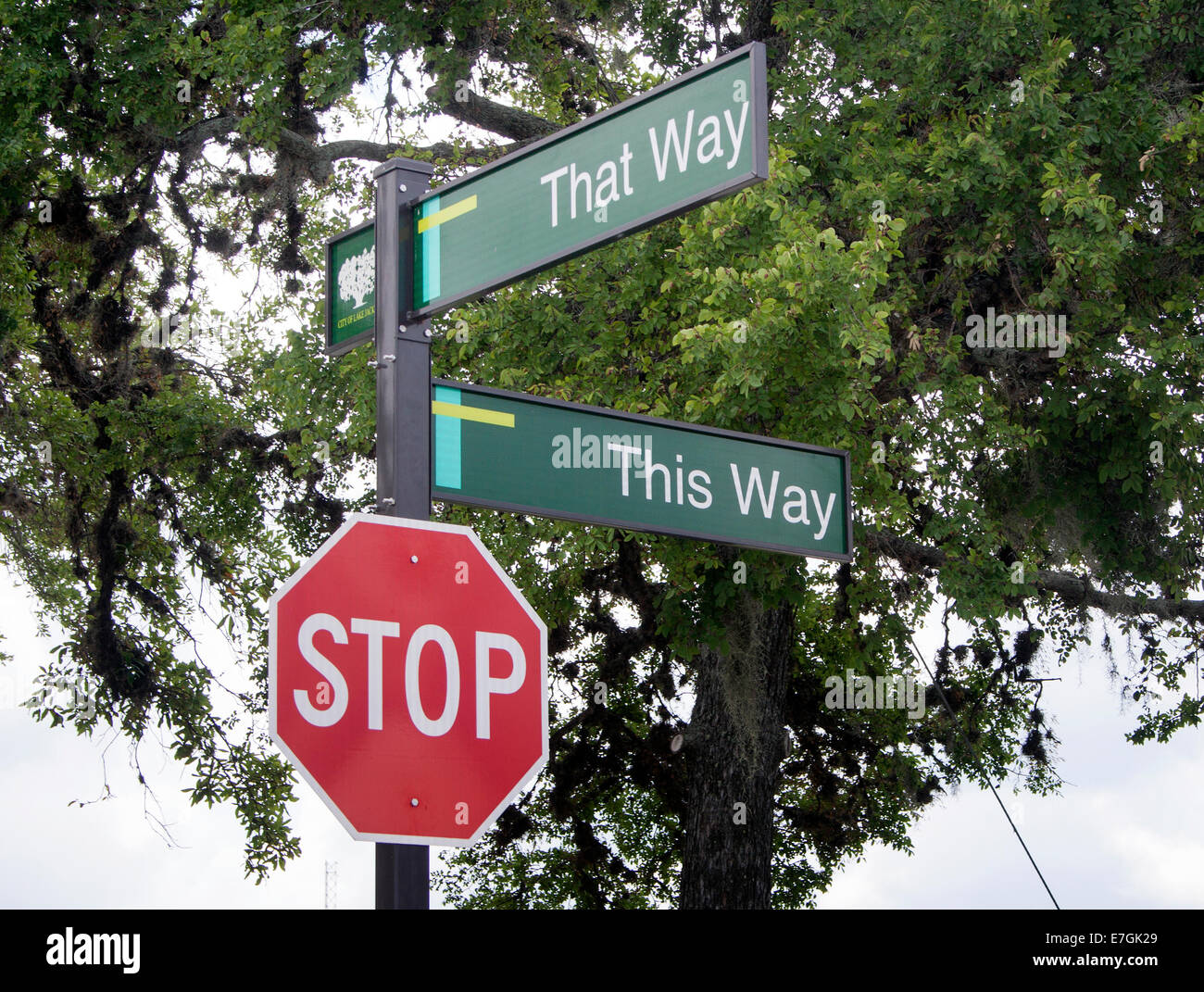 I divertenti cartelli stradali "This Way" e "That Way" a Lake Jackson, Texas, guidano i viaggiatori con umorismo in questa affascinante città della costa del Golfo. Foto Stock