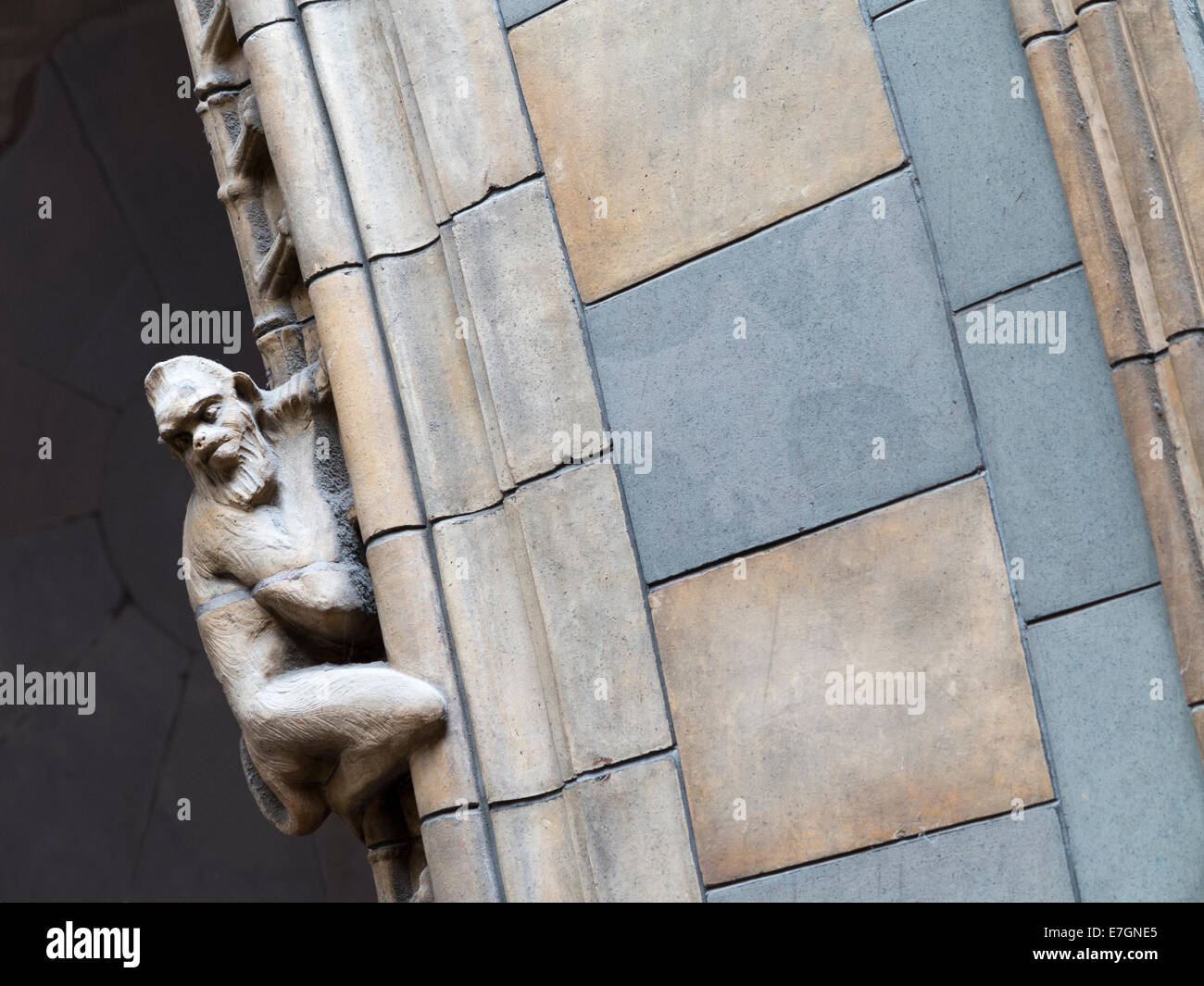 Pietra sculture di scimmia arrampicata gli archi nel Museo di Storia Naturale di South Kensington, Londra, Inghilterra Foto Stock