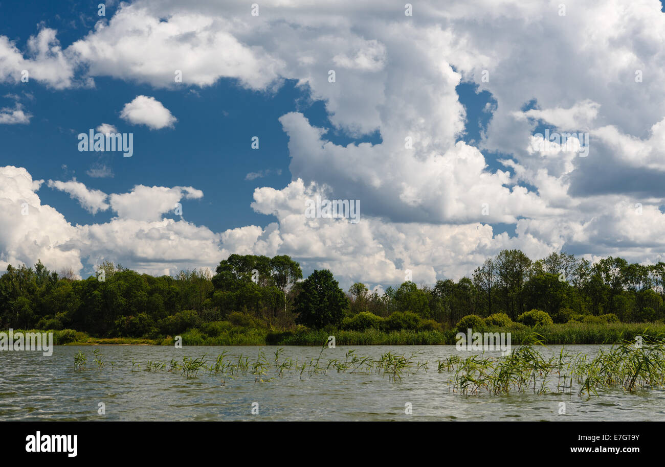 Cumulus nubi nel cielo blu sopra il lago Foto Stock