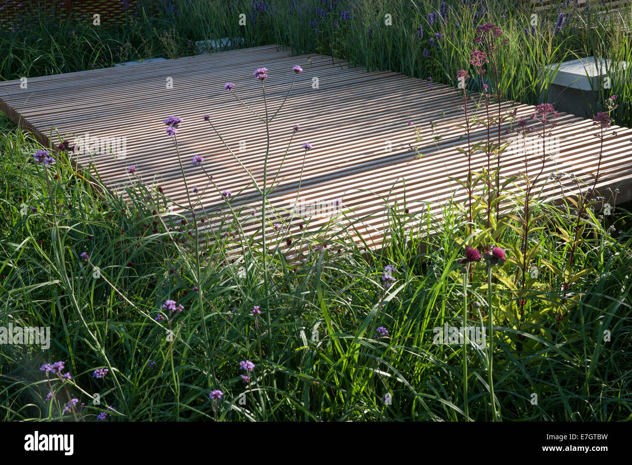 RHS Garden giovani designer dell'anno vincitore del premio forni Sam - Medaglia d'Oro - l'unico limite è il Cielo giardino a Tatton Park RHS flower Foto Stock