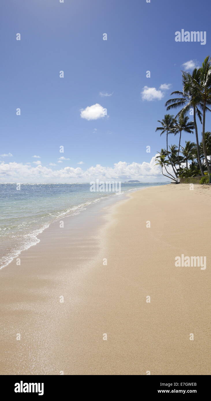 Kaaawa Beach Park, Oahu, Hawaii Foto Stock