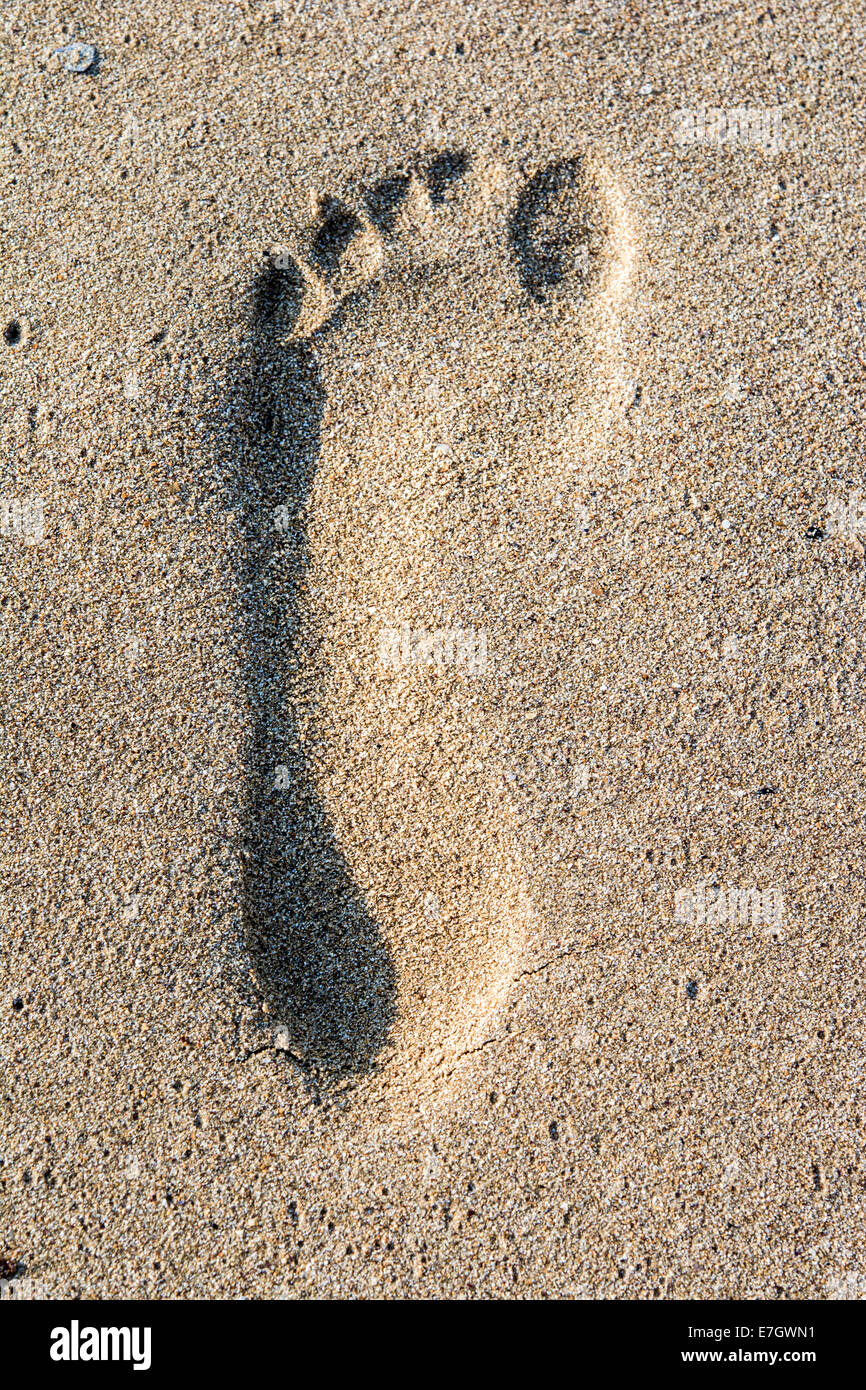 Una impronta nella sabbia dorata sulla riva del mare Foto Stock