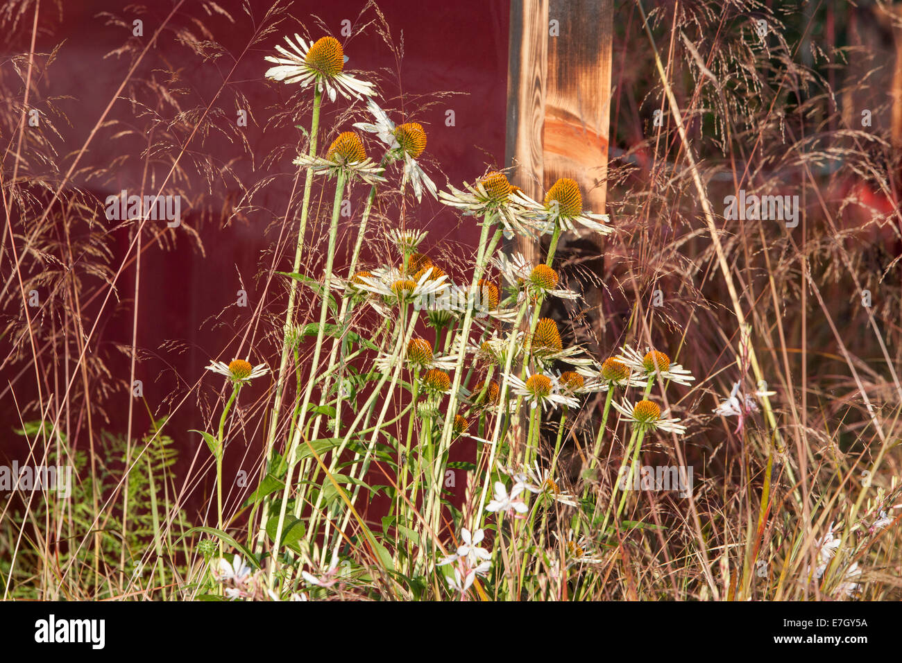 Tatton Park RHS flower show 2014 giovane designer dell'anno di competizione - argento dorato - Giardino - Prehistoric Modernismo Foto Stock