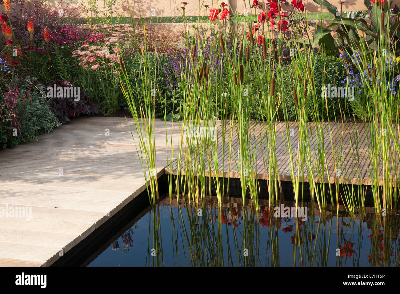 Giardino - Narrows - vista decking circostante la piscina di stagno con bullrushes frontiere misti recinzione in legno di quercia - Designer - Foto Stock