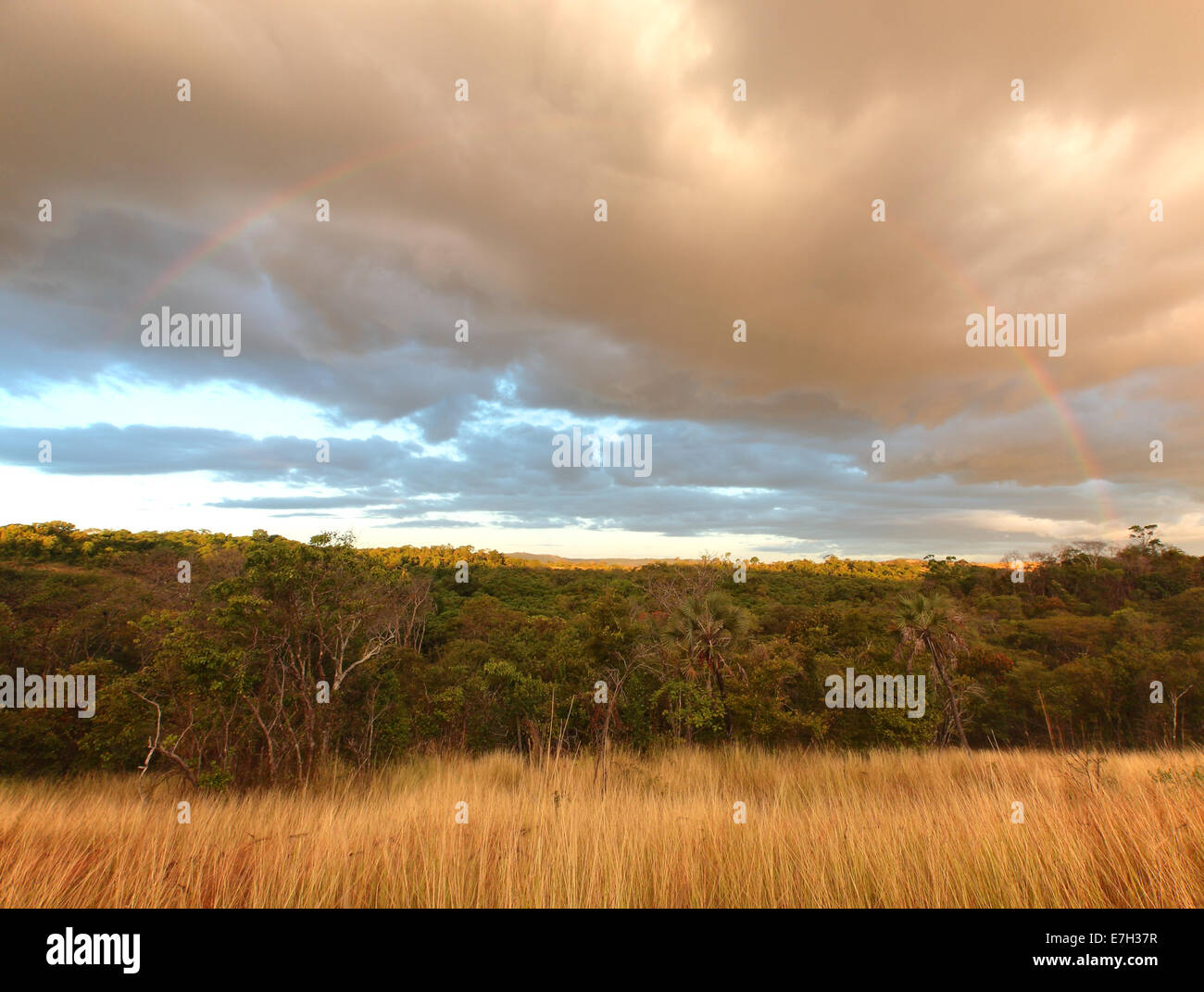 Rainbow al tramonto con nuvole temporalesche, Ankarana, il Parco nazionale del Madagascar Foto Stock