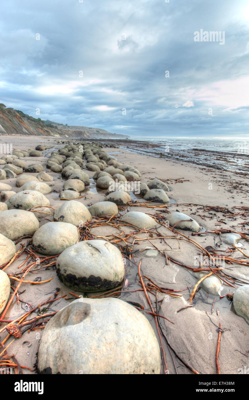 Palla da Bowling Beach, goletta Gulch, Mendocino County, California Foto Stock