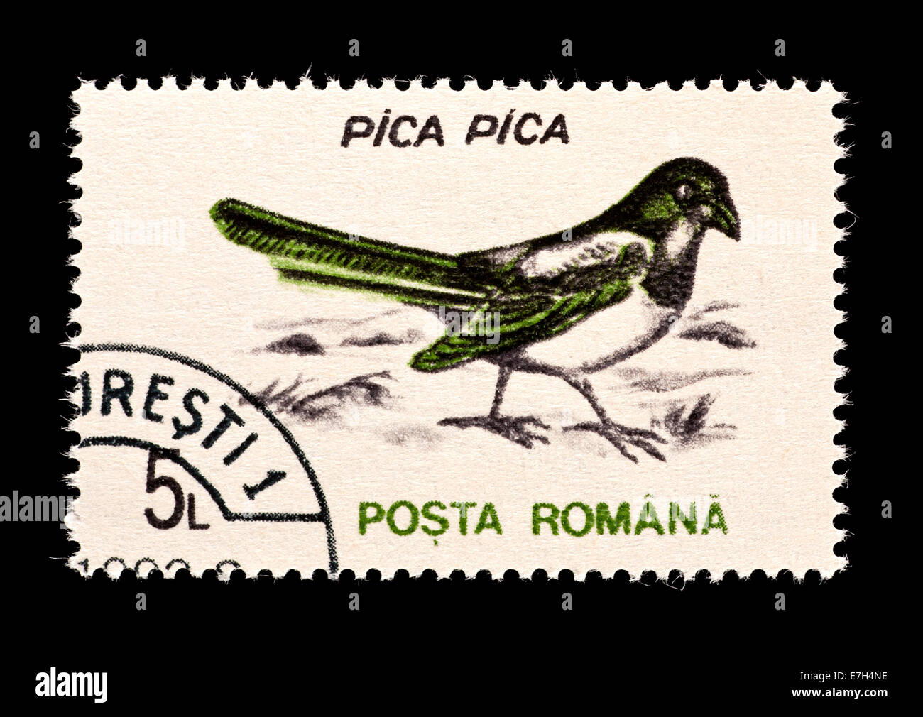 Francobollo dalla Romania raffigurante una gazza europea (Pica pica) Foto Stock
