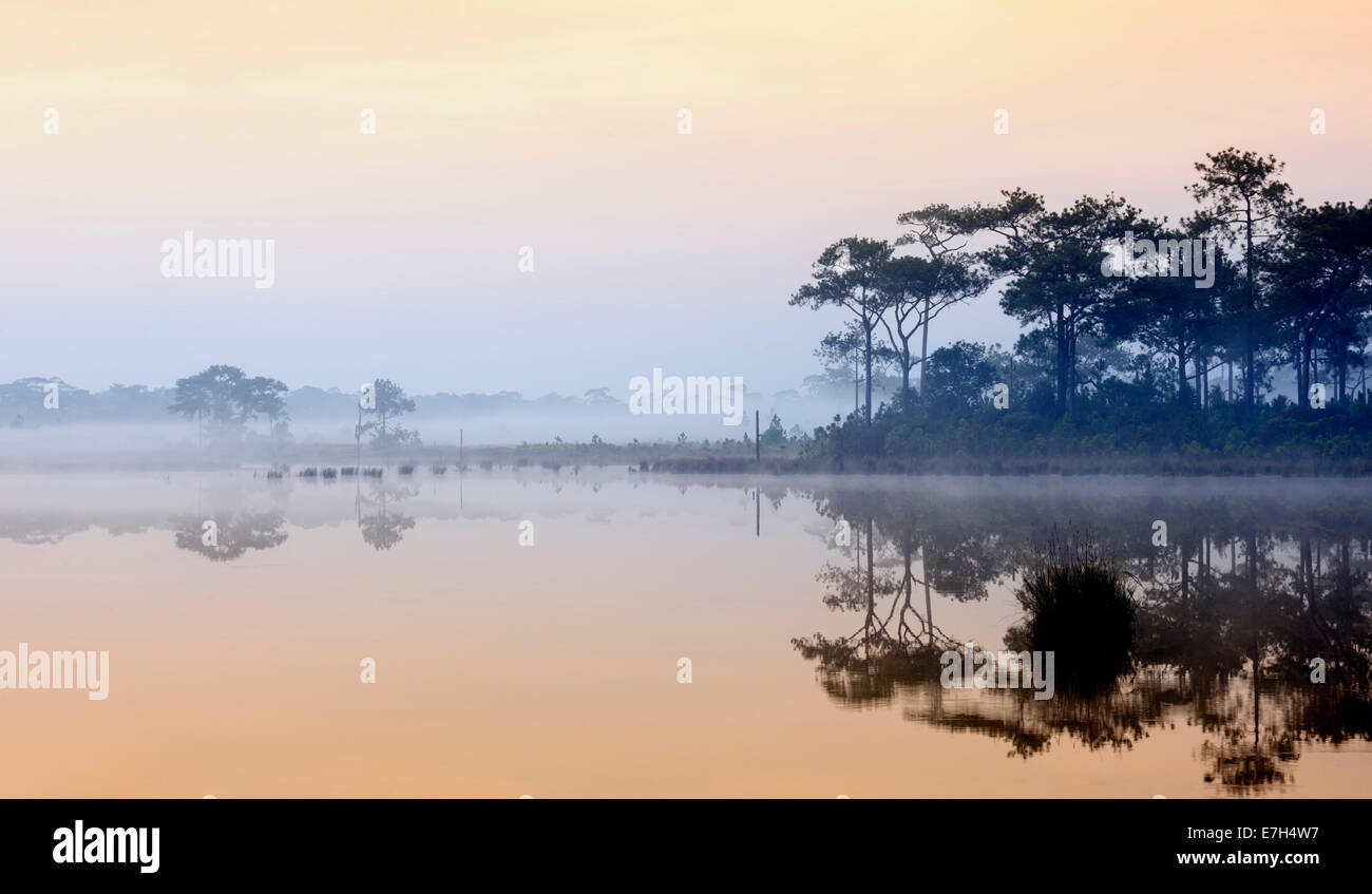 Bella foggy sunrise su un lago nella foresta pluviale, Thailandia. Foto Stock