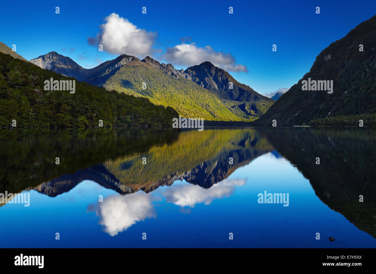 Il lago di Gunn, Fiordland, Nuova Zelanda Foto Stock