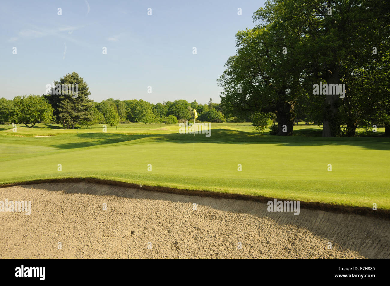 Vista del 8 Verde e bunker di Pam Barton Corso Mid-Surrey Royal Golf Club Richmond Surrey in Inghilterra Foto Stock