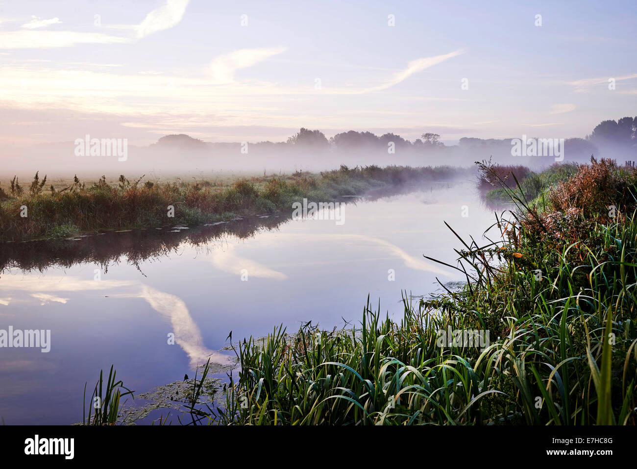Paesaggio Misty Norfolk Regno Unito Foto Stock