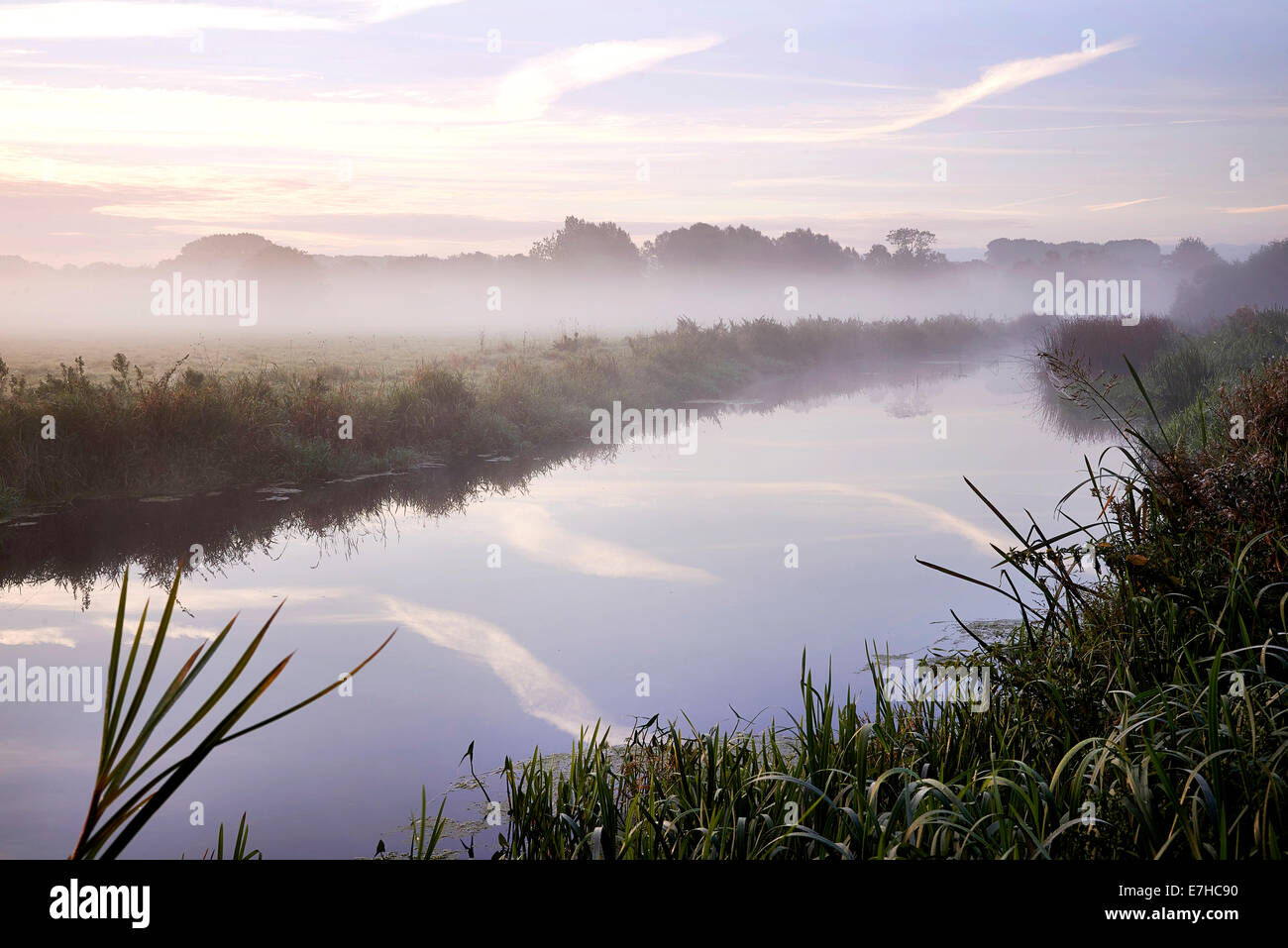 Paesaggio Misty Norfolk regno unito Foto Stock