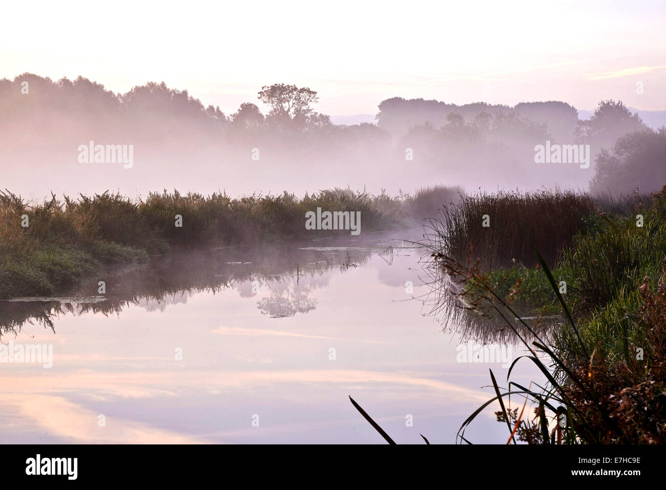Paesaggio Misty Norfolk regno unito Foto Stock