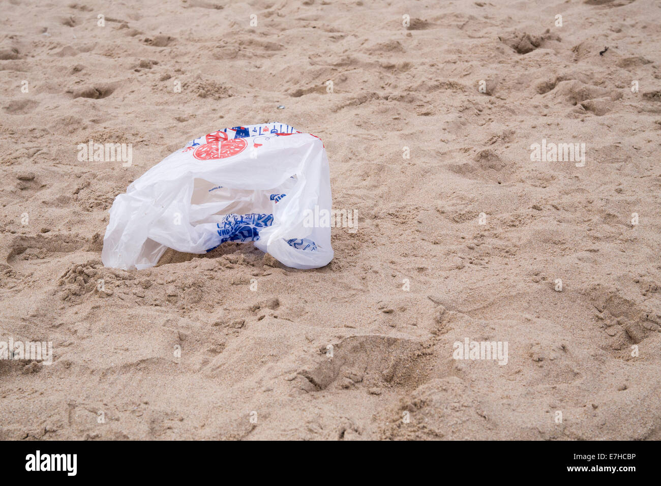 Figliata su di una spiaggia di sabbia. Supermercato borsa di trasporto. Spazzatura. Cucciolata bug. Foto Stock