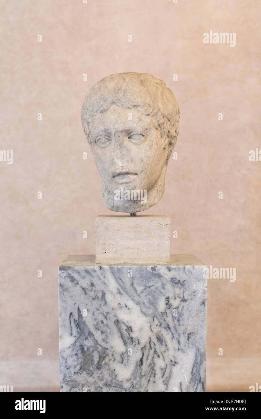 Testa di Doryphorus Foto Stock