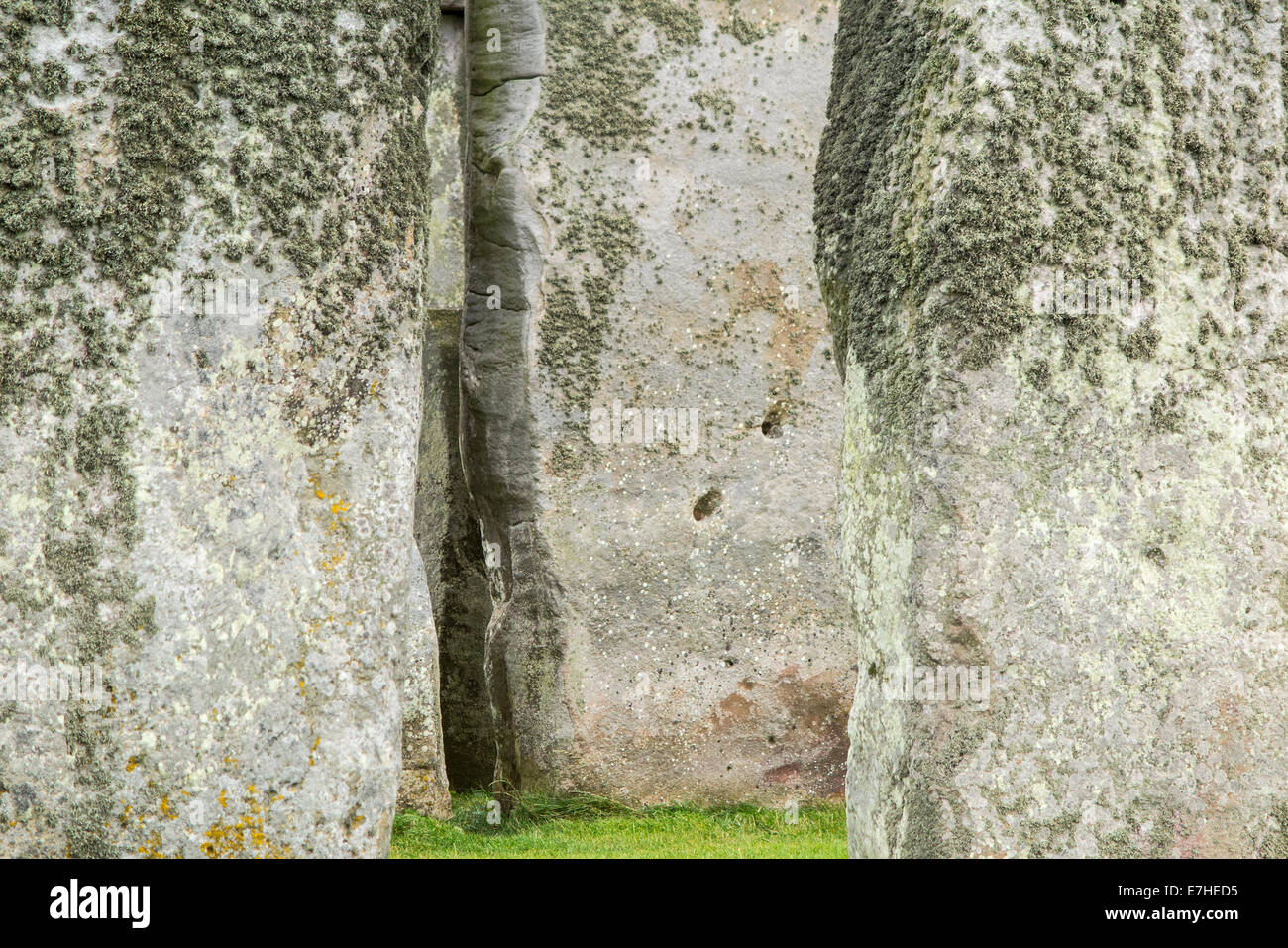 Stonehenge close up / Stone Henge closeup che mostra la superficie delle pietre permanente, lichen ecc. Stonehenge. Wiltshire, Regno Unito. Foto Stock