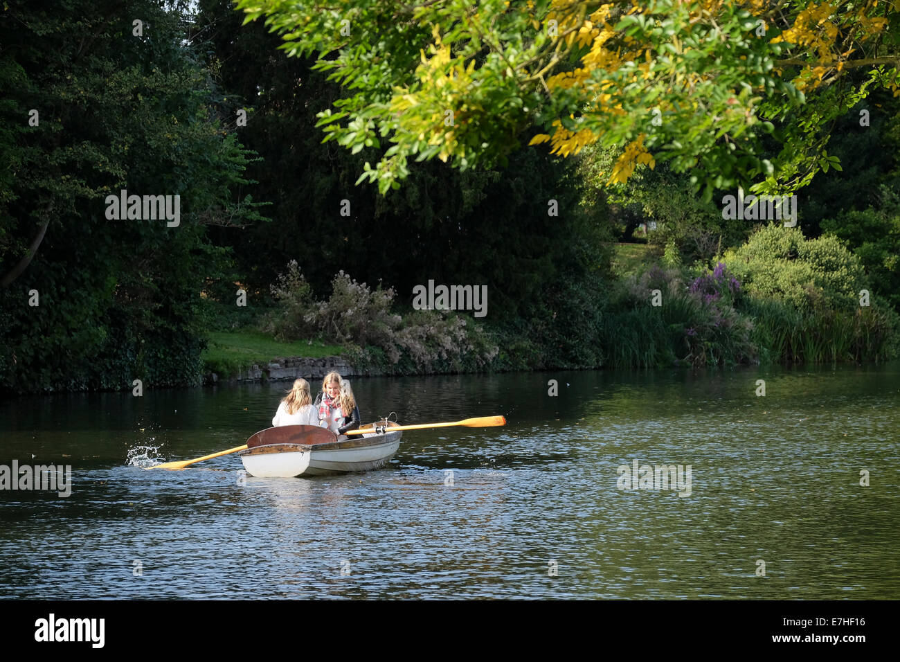 Giovani donne canottaggio sul fiume Avon a Stratford Foto Stock