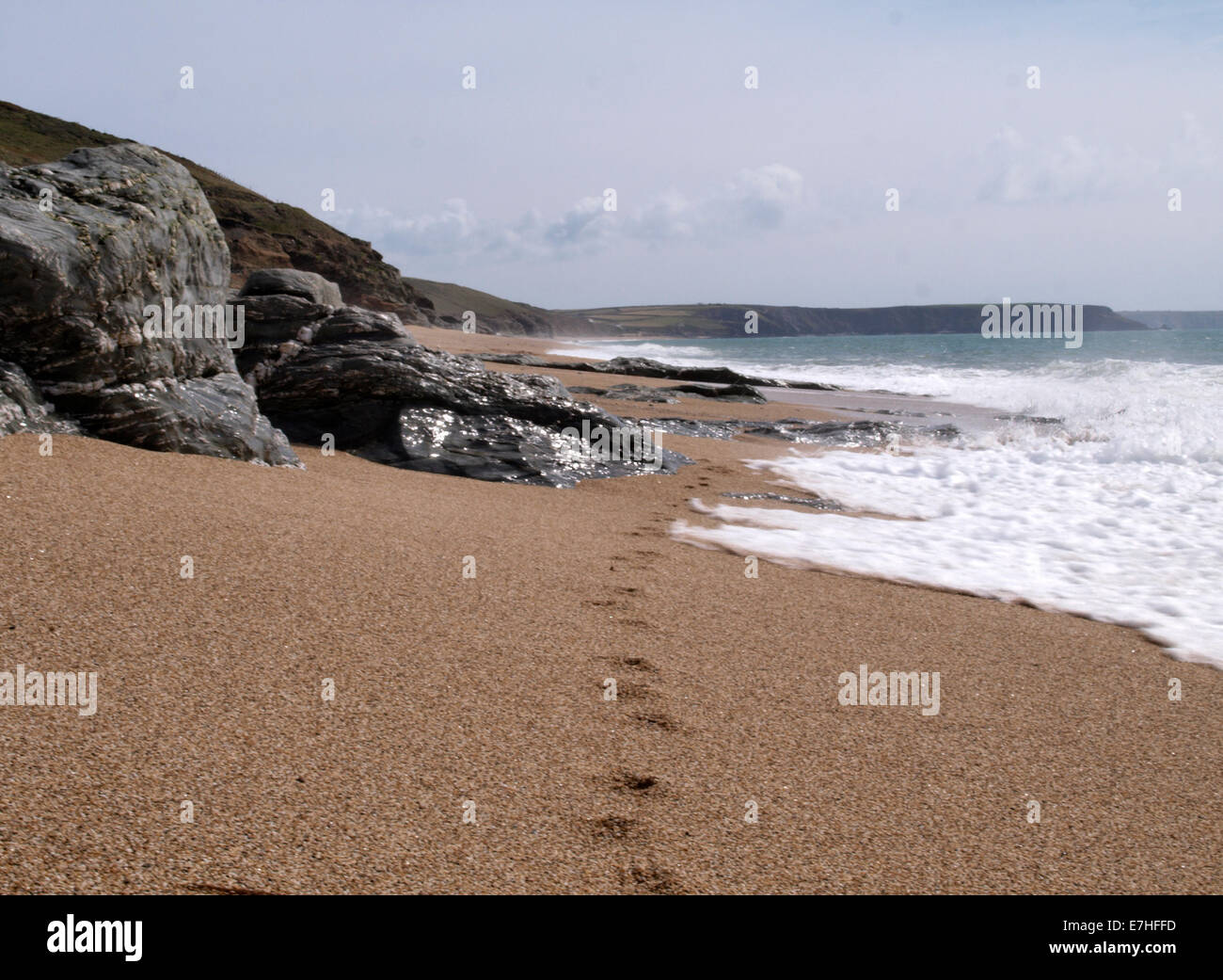 Zampa del cane di stampe lungo la spiaggia, Porthleven, Cornwall, Regno Unito Foto Stock