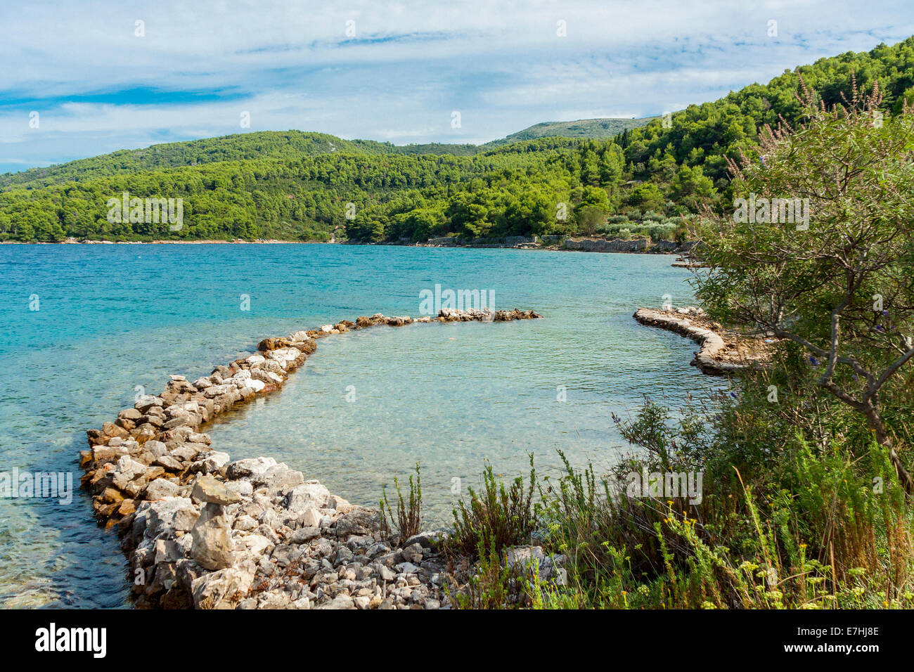 Stari Grad Bay, isola di Hvar, Croazia Foto Stock