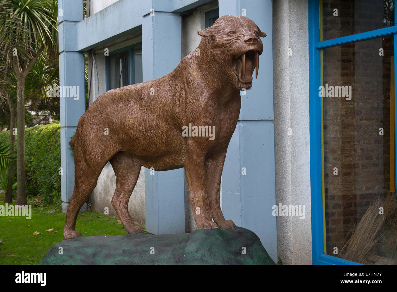 La figura disposizione saber-tigre dentata vicino al Museo della Natura Foto Stock