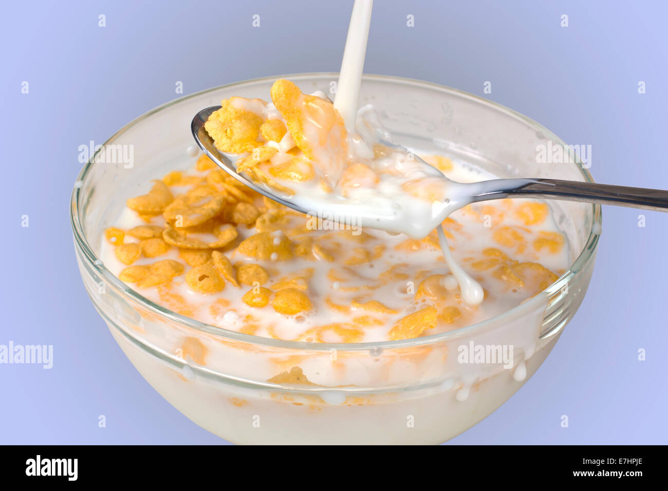 Cereali in ciotola e splash isolato di latte con il tracciato di ritaglio Foto Stock