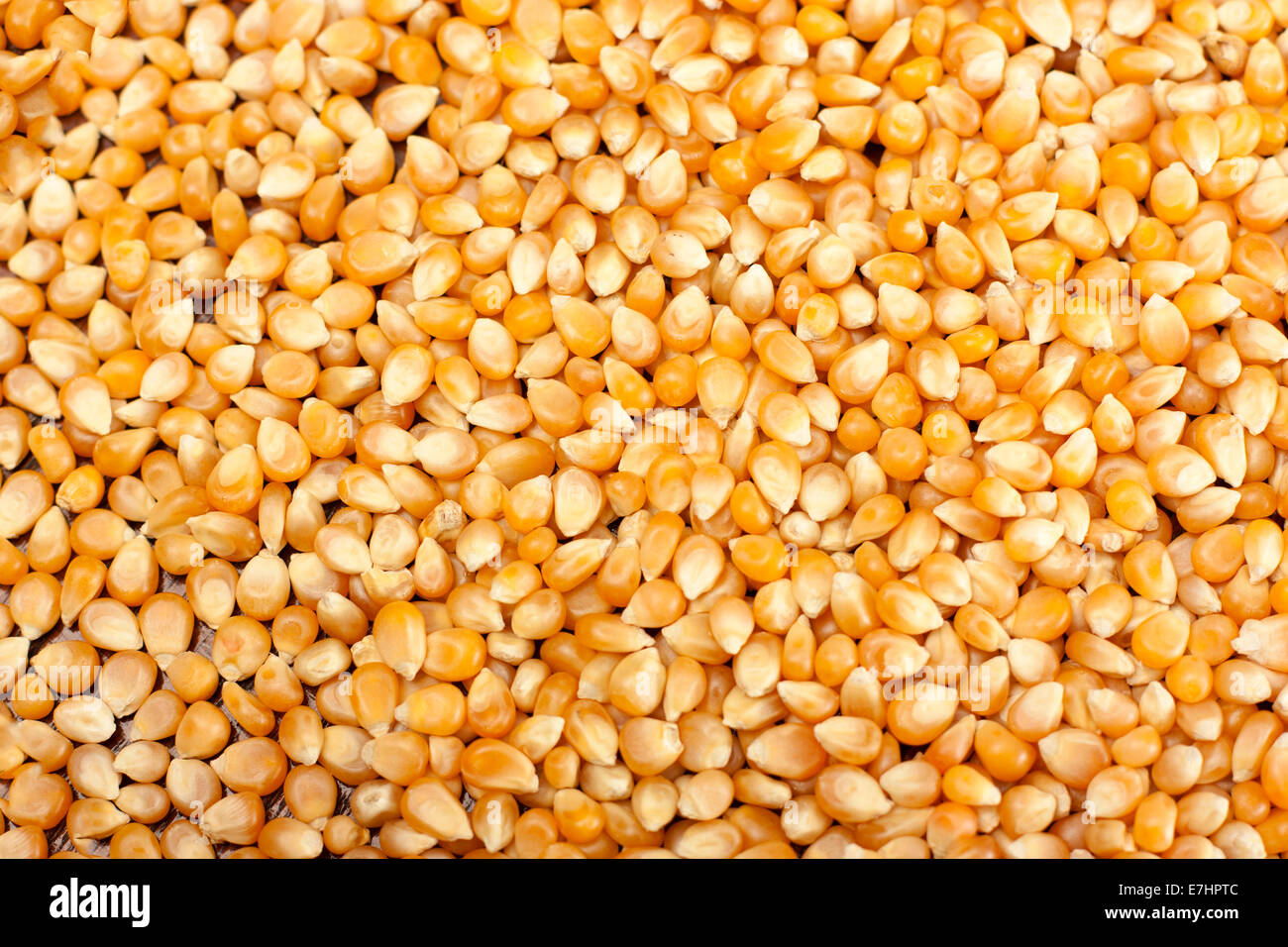 Un sacco di mais giallo sullo sfondo della granella Foto Stock