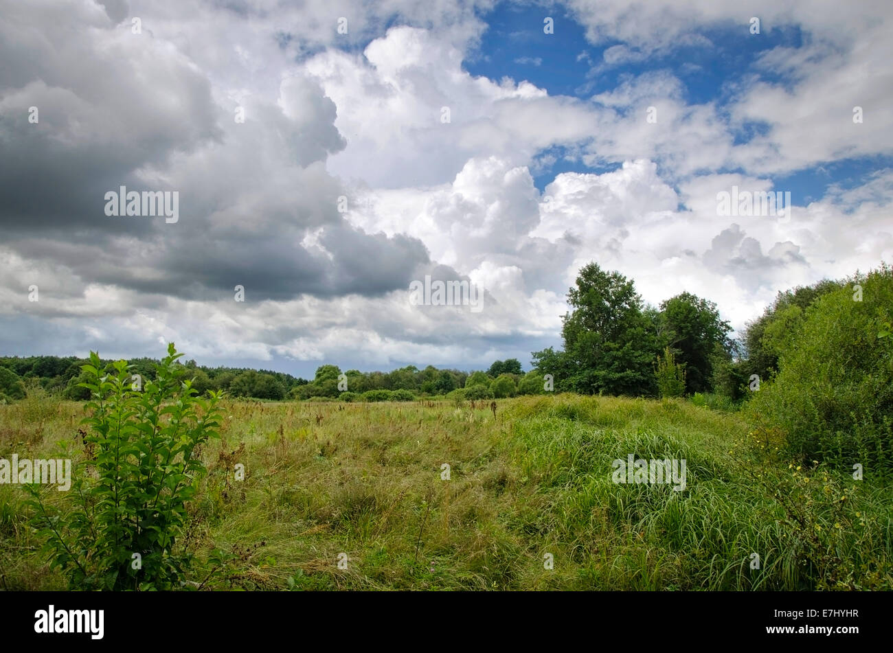 In estate il paesaggio con le nuvole basse e prato Foto Stock