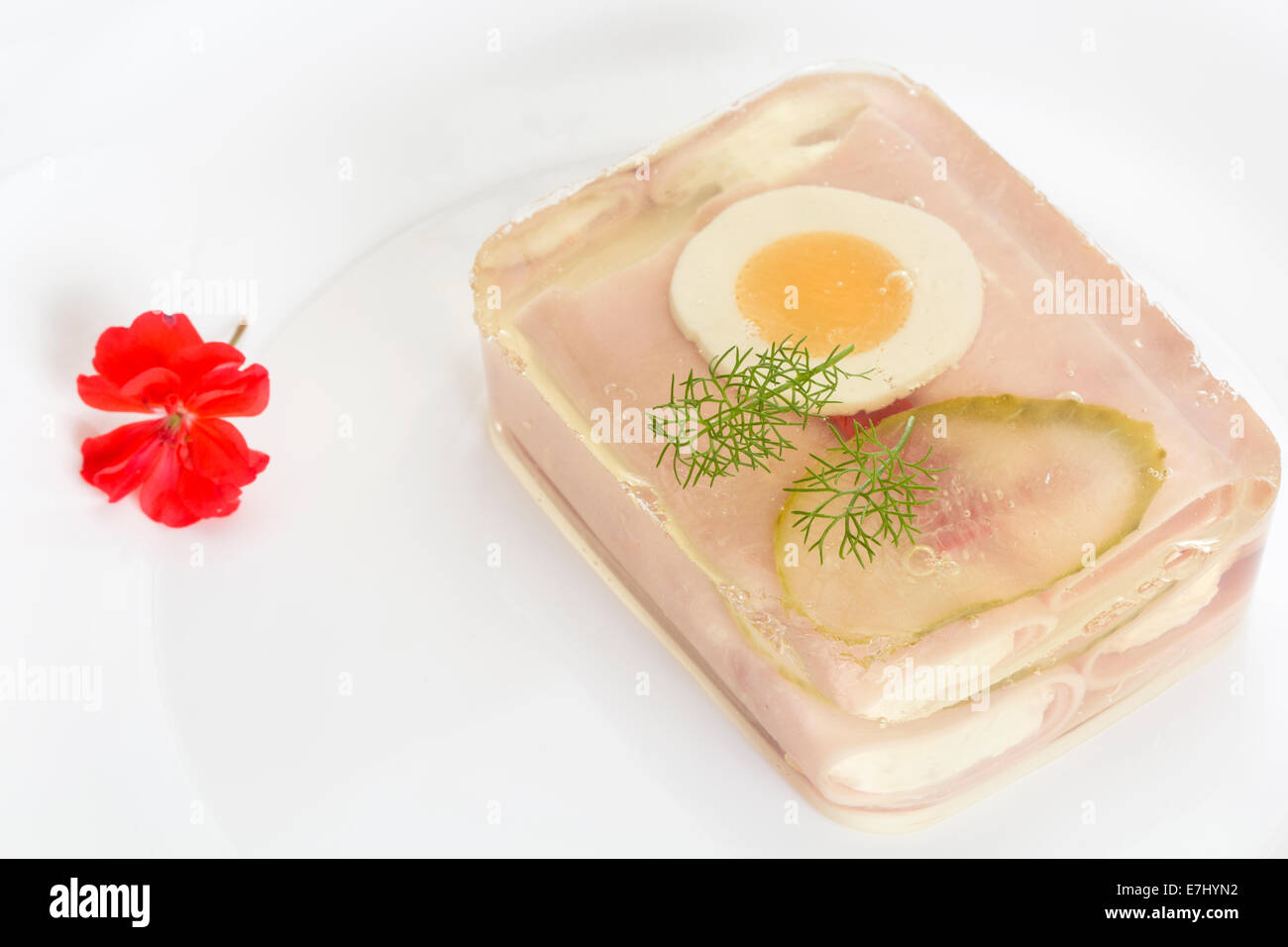 Carne in gelatina su una piastra bianca e un fiore Foto Stock