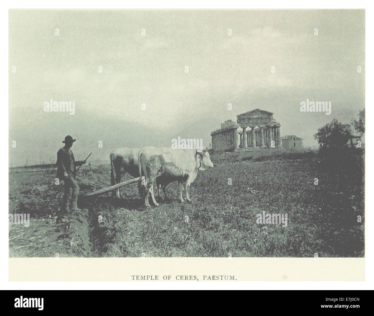 Un'illustrazione del 1895 del Tempio di Cerere, un tempio romano classico dedicato alla dea dell'agricoltura. La rappresentazione mette in evidenza le caratteristiche architettoniche e il significato culturale di questa struttura nell'antica religione romana. Foto Stock