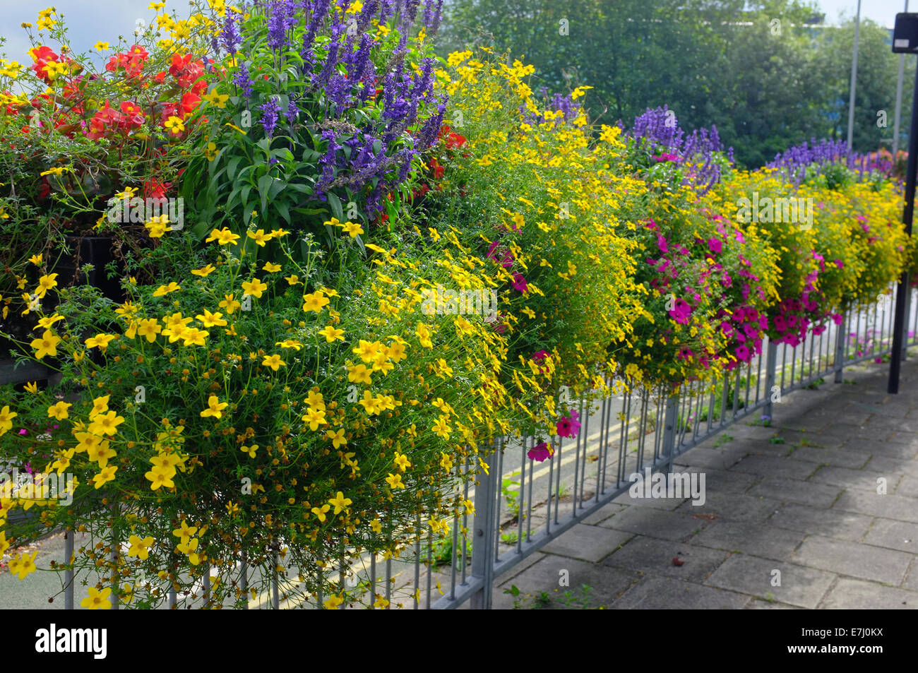 Public display fiore decorare le strade di Aylesbury, Buckinghamshire, Inghilterra Foto Stock