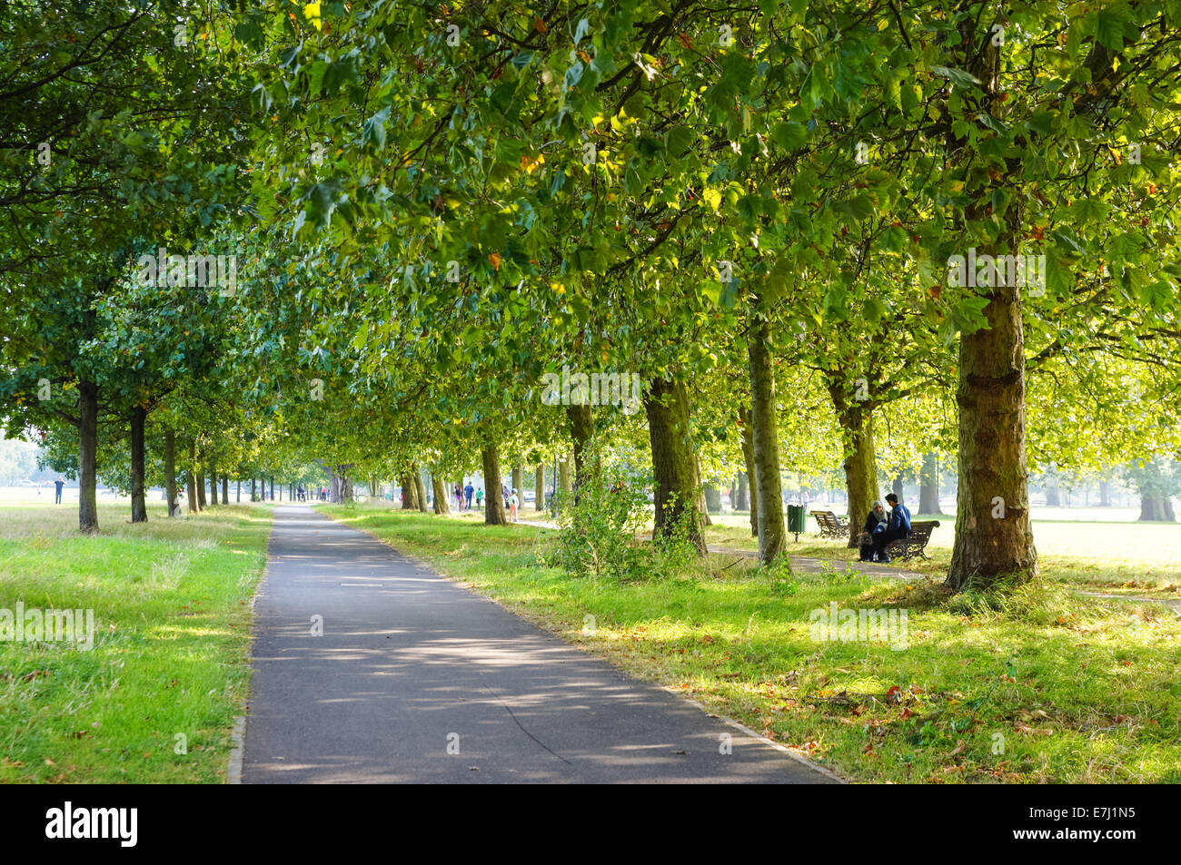 Persone che godono di sole tempo a Clapham Common Park nel sud di Londra Inghilterra Regno Unito Foto Stock