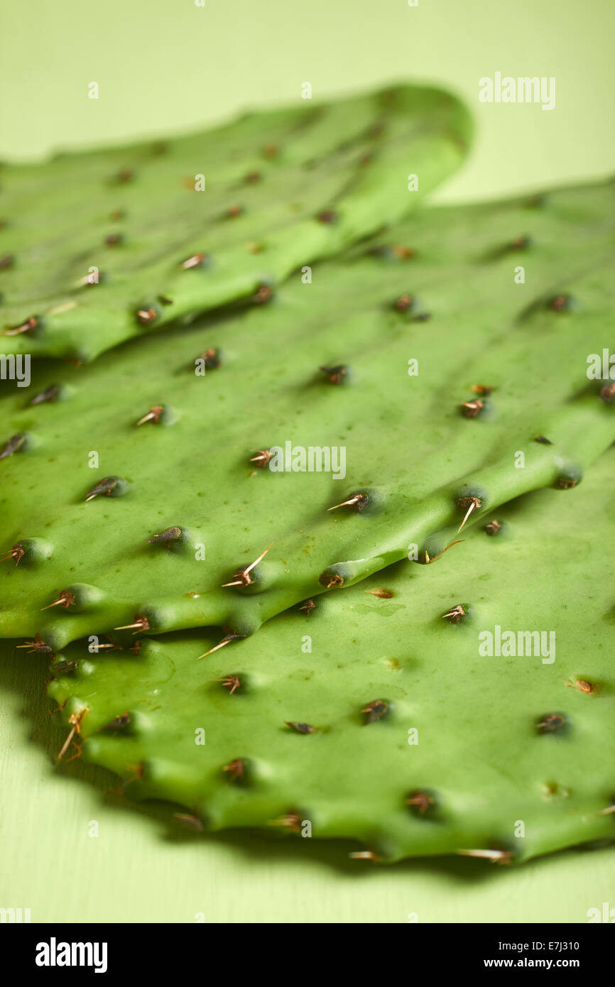 Nopales, cactus commestibili le palette dal Messico Foto Stock