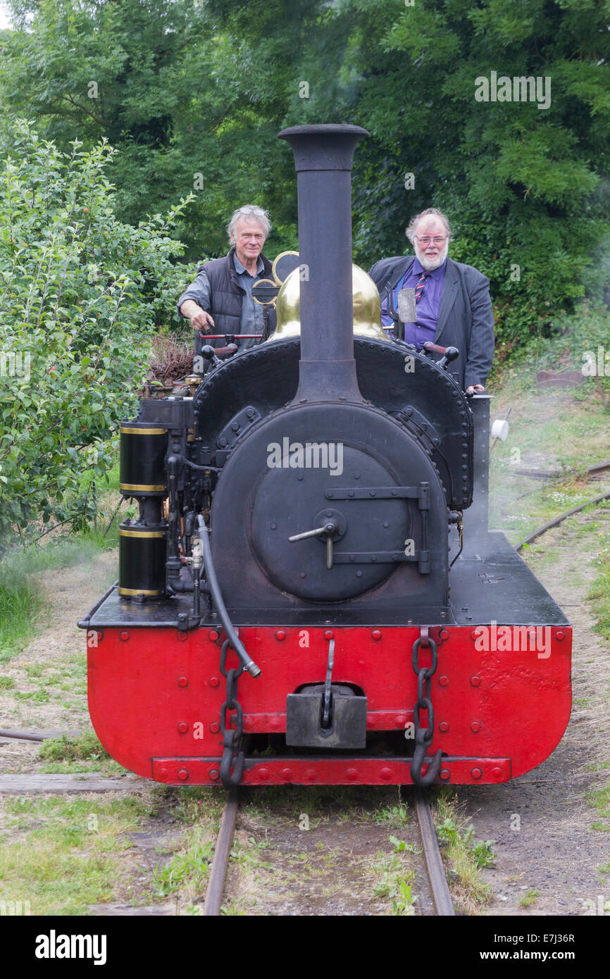 0-4-0 serbatoio del motore di Lilian sul Launceston Steam Railway Foto Stock