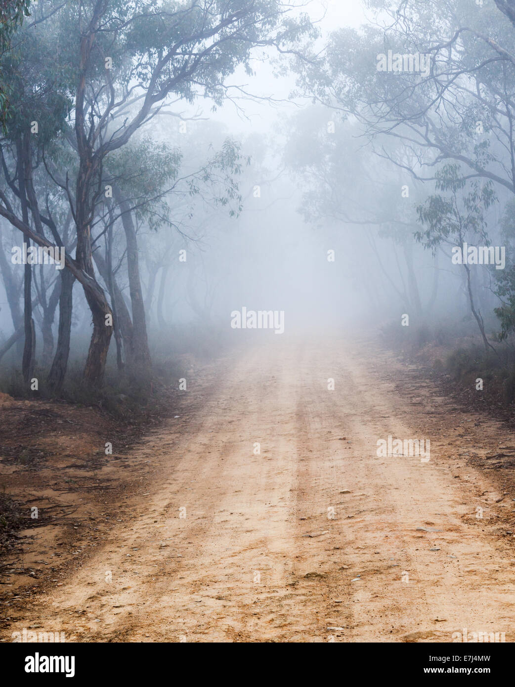 Lonely bush via Australia Foto Stock