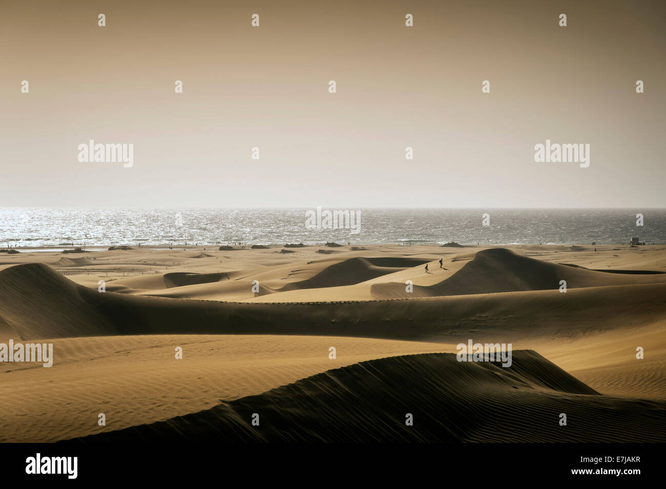 Le Dune di Maspalomas nel diffondere la luce di una tempesta di sabbia, Playa del Inglés, Gran Canaria Isole Canarie Spagna Foto Stock