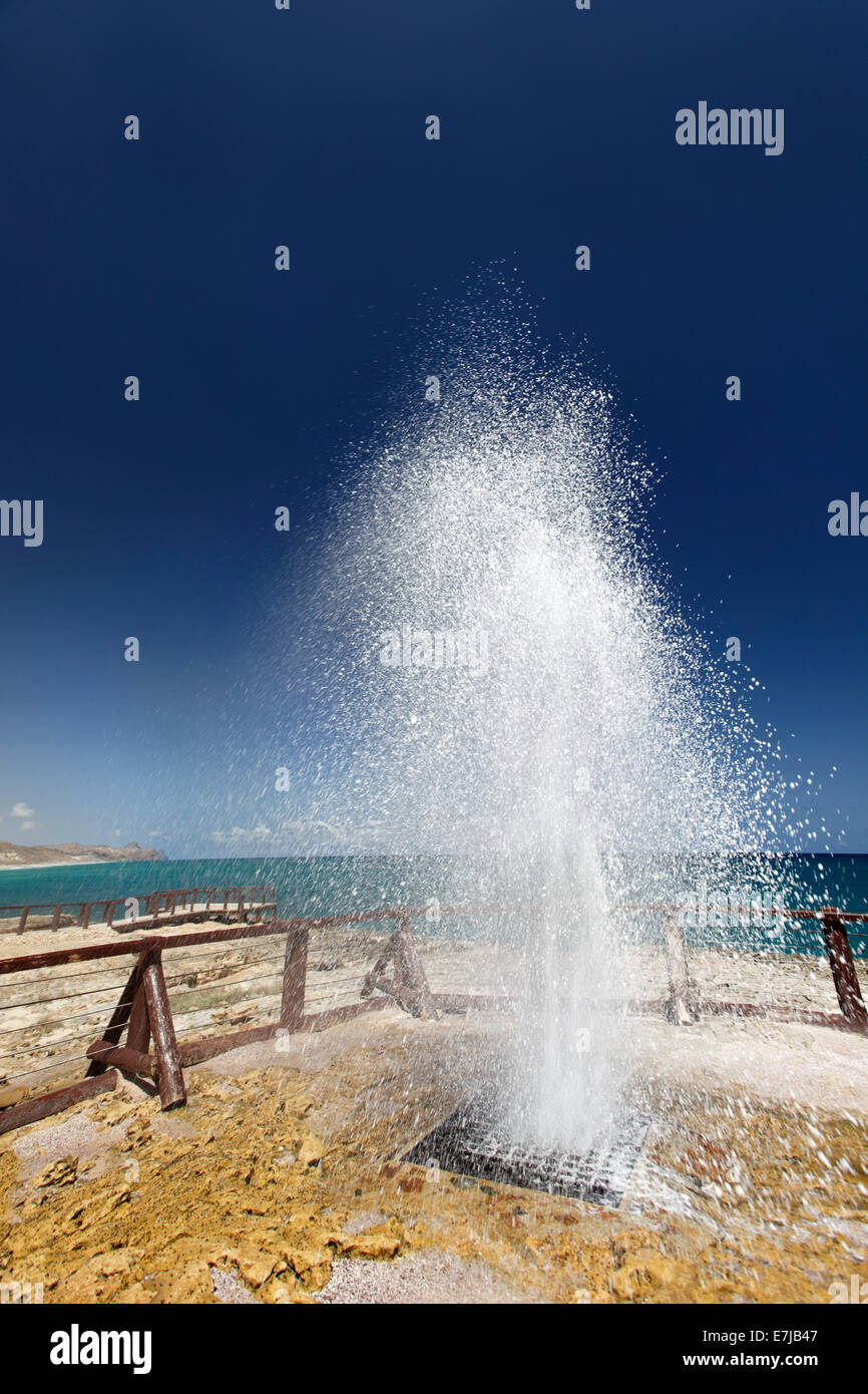 Blowhole presso la spiaggia di Al Mughsail, Salalah, regione di Dhofar, Sultanato di Oman, Penisola arabica Foto Stock