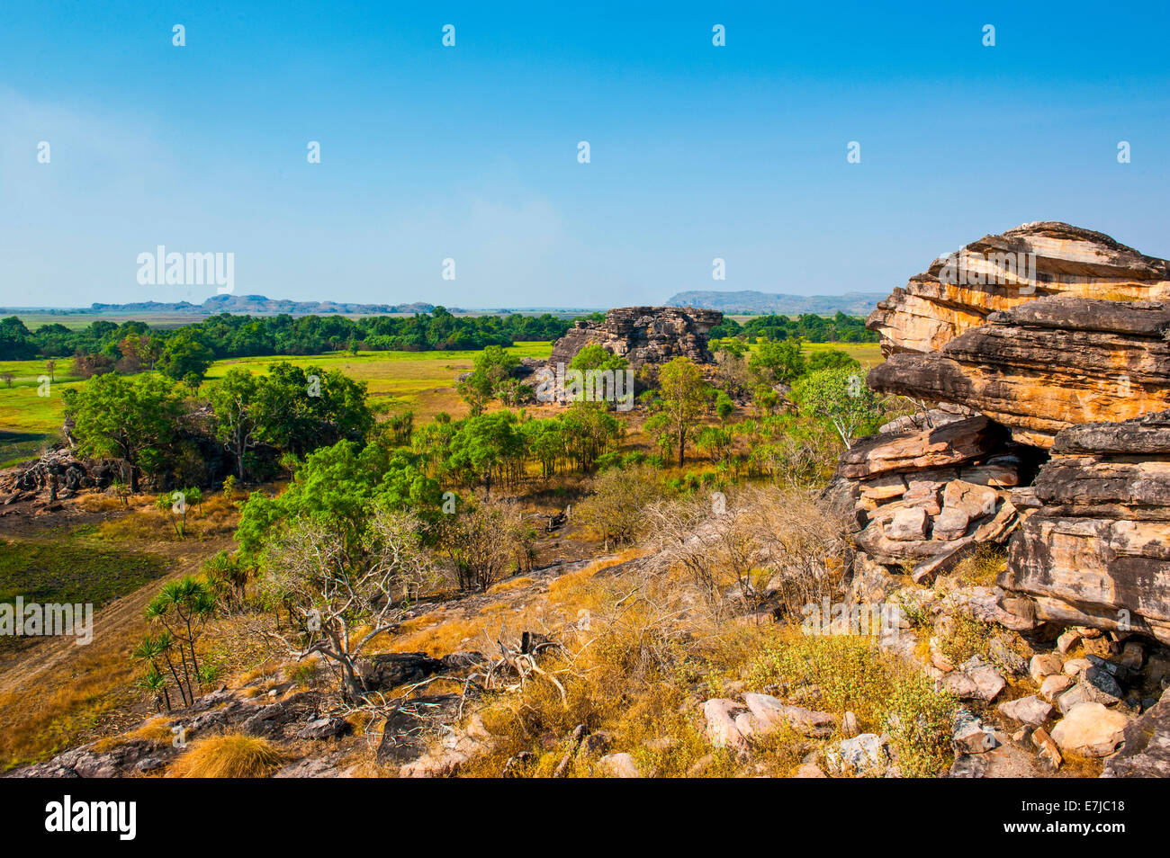 Affacciato sul paesaggio, il Parco Nazionale Kakadu, Territorio del Nord, l'Australia Foto Stock